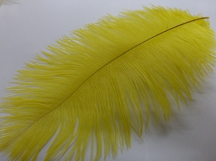 Ostrich Feather Large Yellow